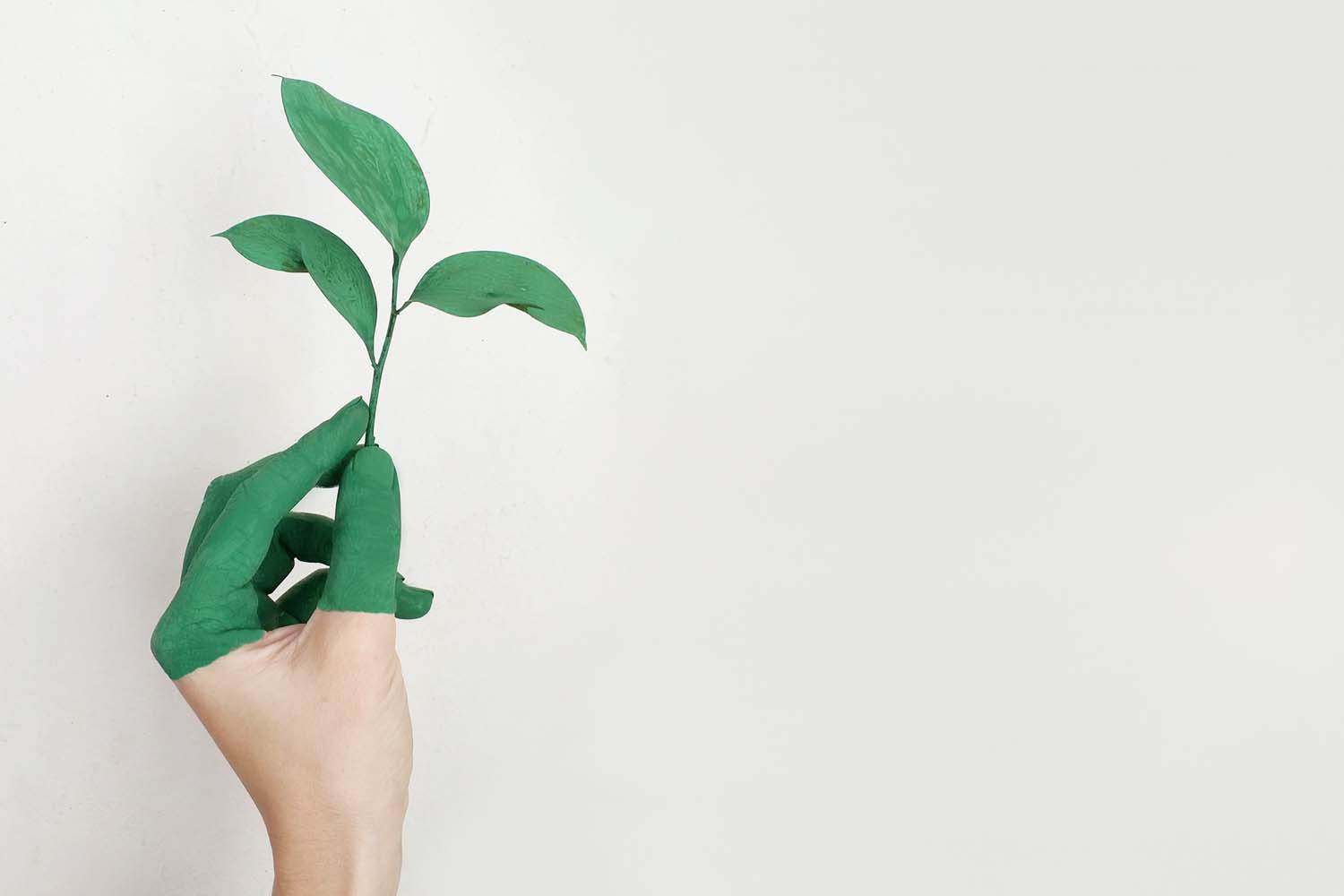 Why Businesses Should Embrace Sustainability in 2022